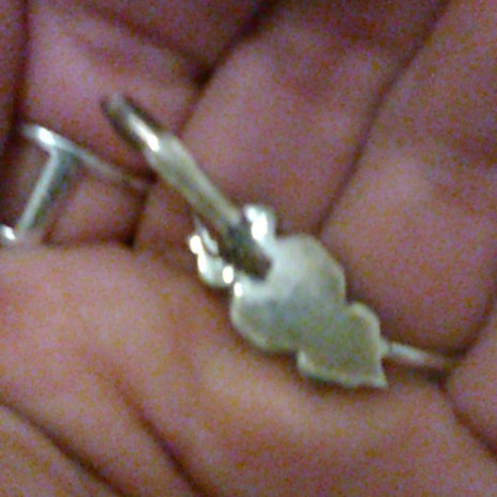 Earrings - Picture 7 of 7